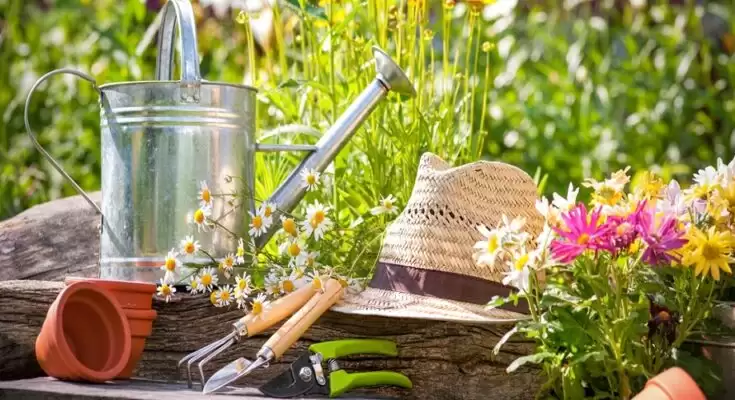 10 Fabulous Gardening Facts Everyone Should Know