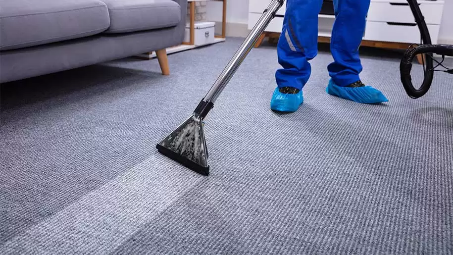 How to clean leather carpets?