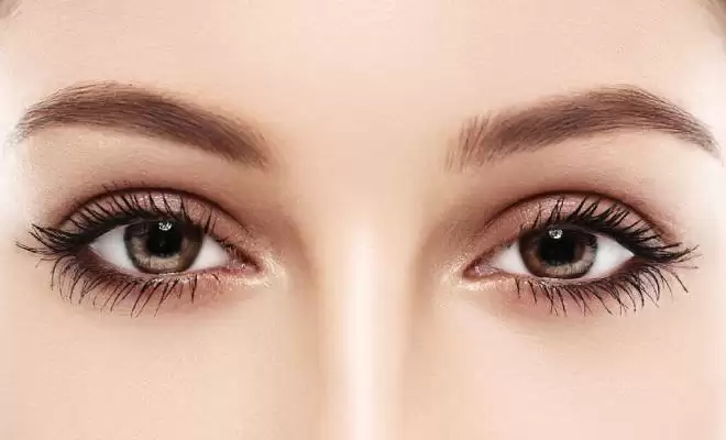 Know Everything About Eyelash Transplants