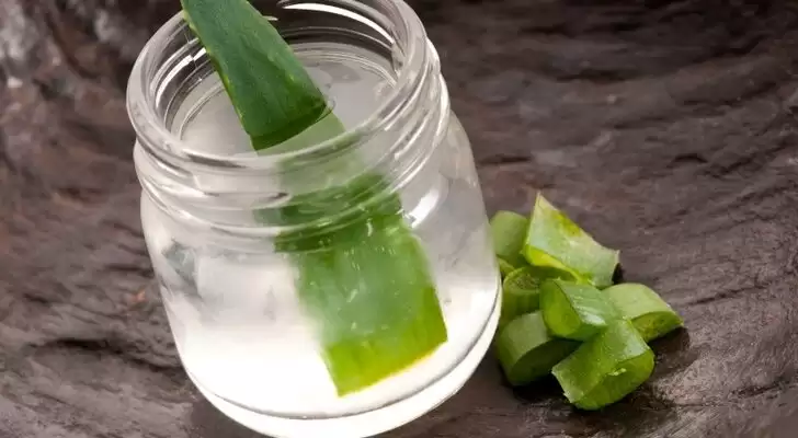The Health Benefits of Drinking Organic Aloe Vera Juice