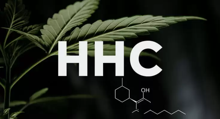 Things To Know About HHC and Drug Testing